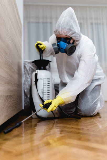 Best Commercial Pest Control  in Taylorsville, NC